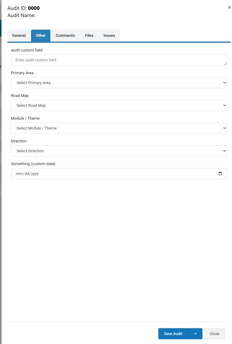 Other tab showing example custom audit fields